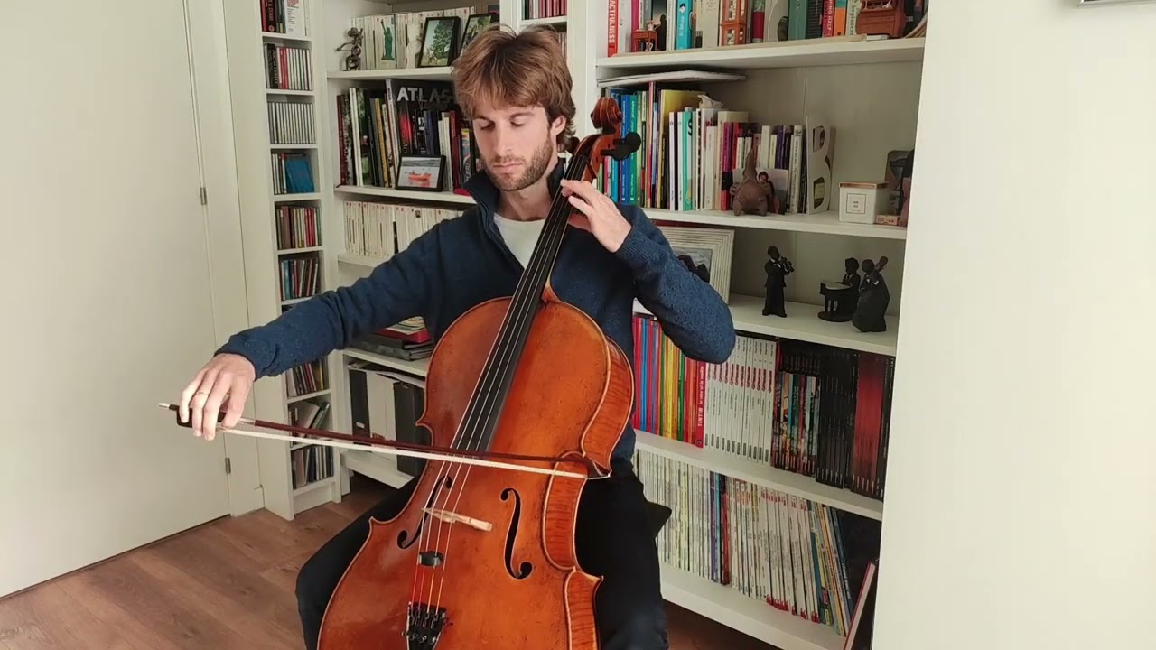 Beethoven Symphony no.5 Cello Excerpt