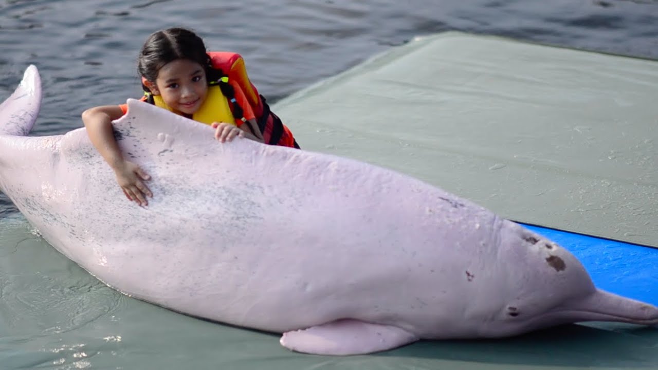 มูเน่ เที่ยว โอเอซิส ซีเวิลด์ #3 เล่นน้ำกับโลมาสีชมพู [ Oasis Sea World ]