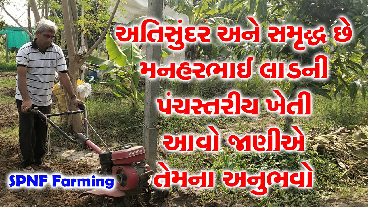 #SPNF સુરતના કરંજના ખેડૂત મનહરભાઇ લાડએ પંચસ્તરીય પ્રાકૃતિક ખેતી થકી જબરદસ્ત આવક અને ઉતારો મેળવ્યો