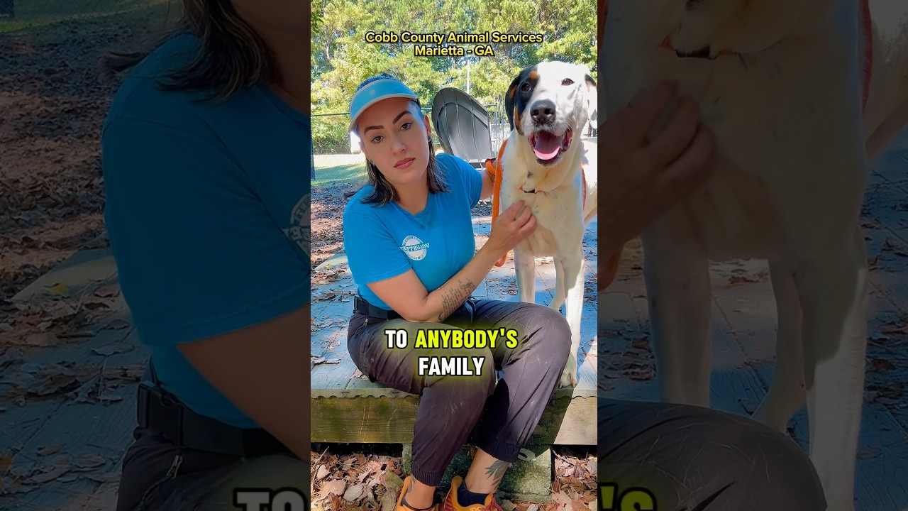 How could someone leave him? 💔 #sad #dog #sharinglove #animal #marietta #shorts #youtubeshorts