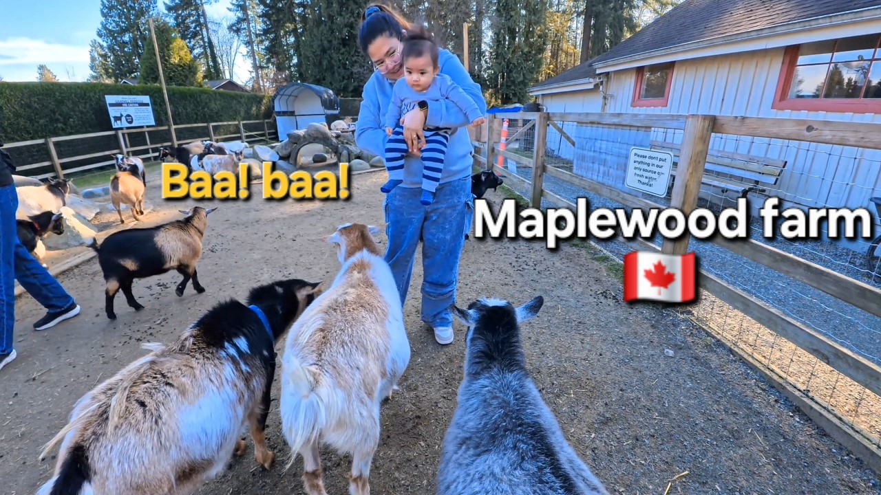 Maplewood Farm Bc Canada