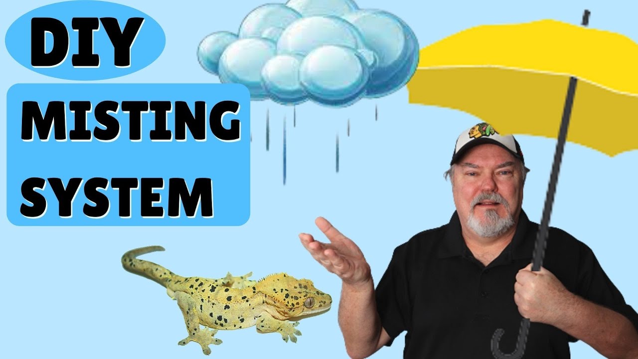 Save Money and Time Setting up an Automated Misting System  | DIY Misting System