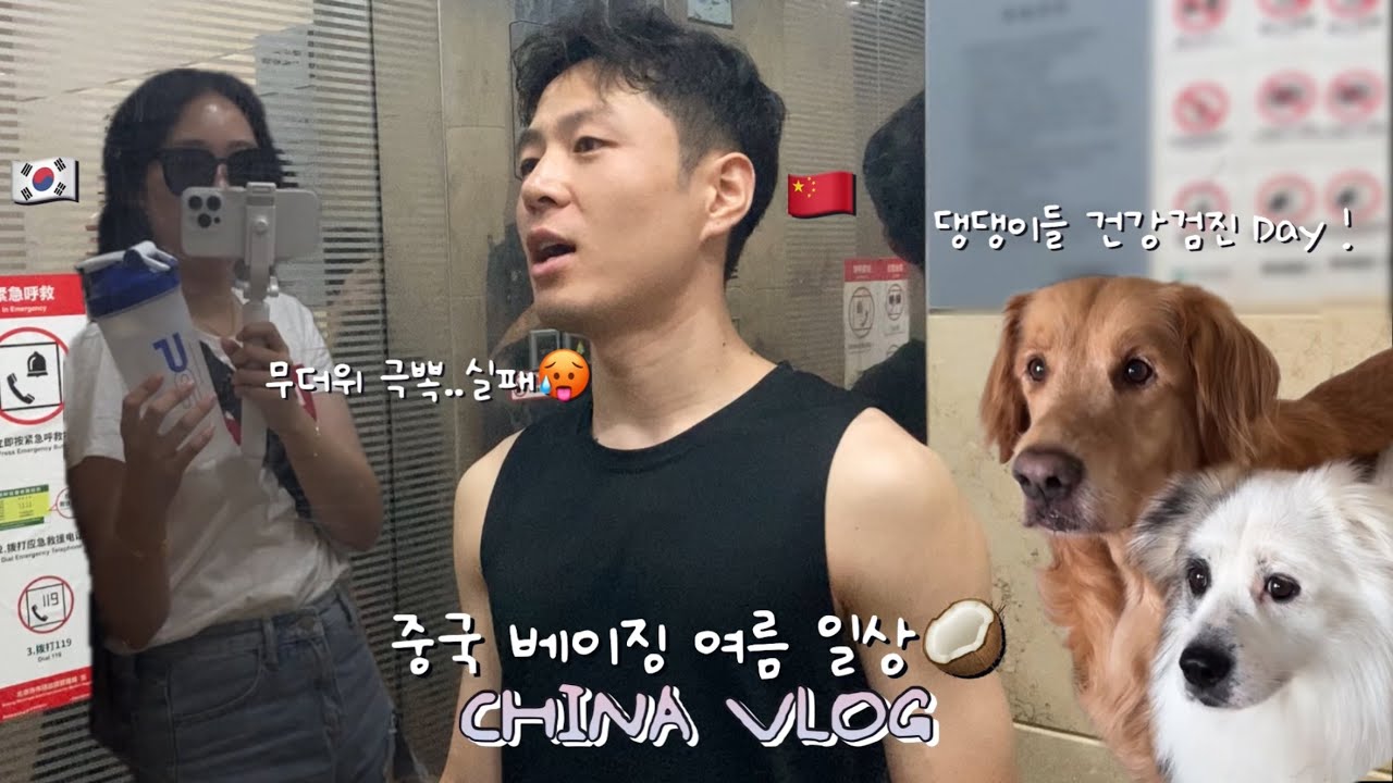 동갑내기 한중커플 | 둘만의 일상으로 돌아온 중국 베이징 Vlog 🇨🇳 마라샹궈 먹방 | 울 댕댕이들 건강검진 Day | 무더위 여름은 언제 지나가나요🥵 (ft.코코넛에 미친자들)