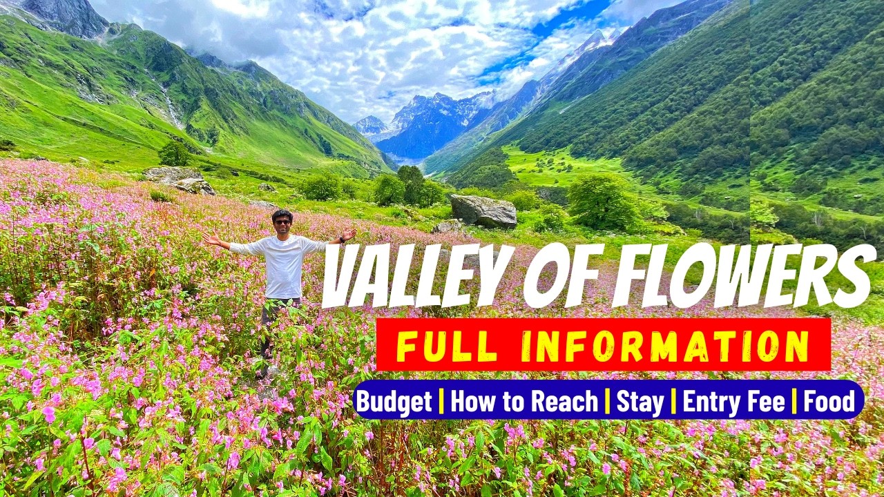 Valley of Flowers Trek 2025 Under 5,000 Rs | Full Information | Hotel Stay | How to Reach ?