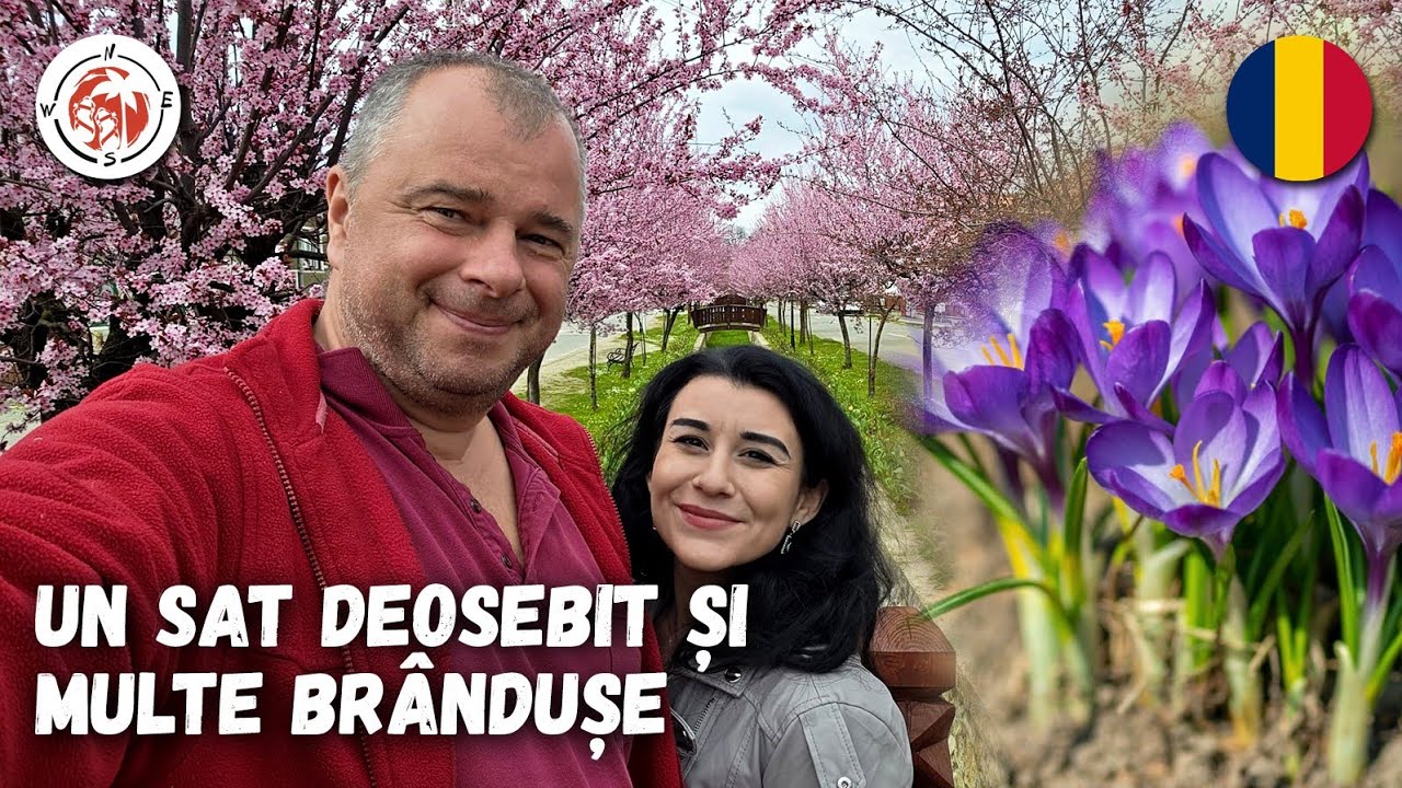 Smoothie de leurdă, un SAT deosebit din Munții Apuseni și multe br&acirc;ndușe 