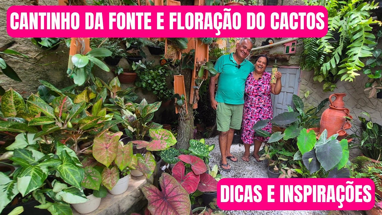 FONTE DE BARRO: DICA DE PLANTAS PARA LAGO E FLORAÇÃO DOS CACTOS | QUINTAL DA TERRA | Quintal da Zizi