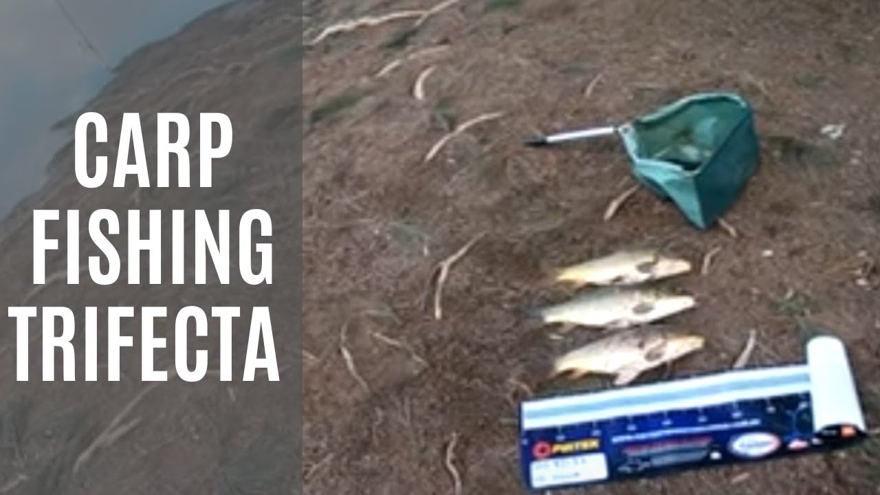Carp Fishing (Cod Damn It) @ Canberra, ACT