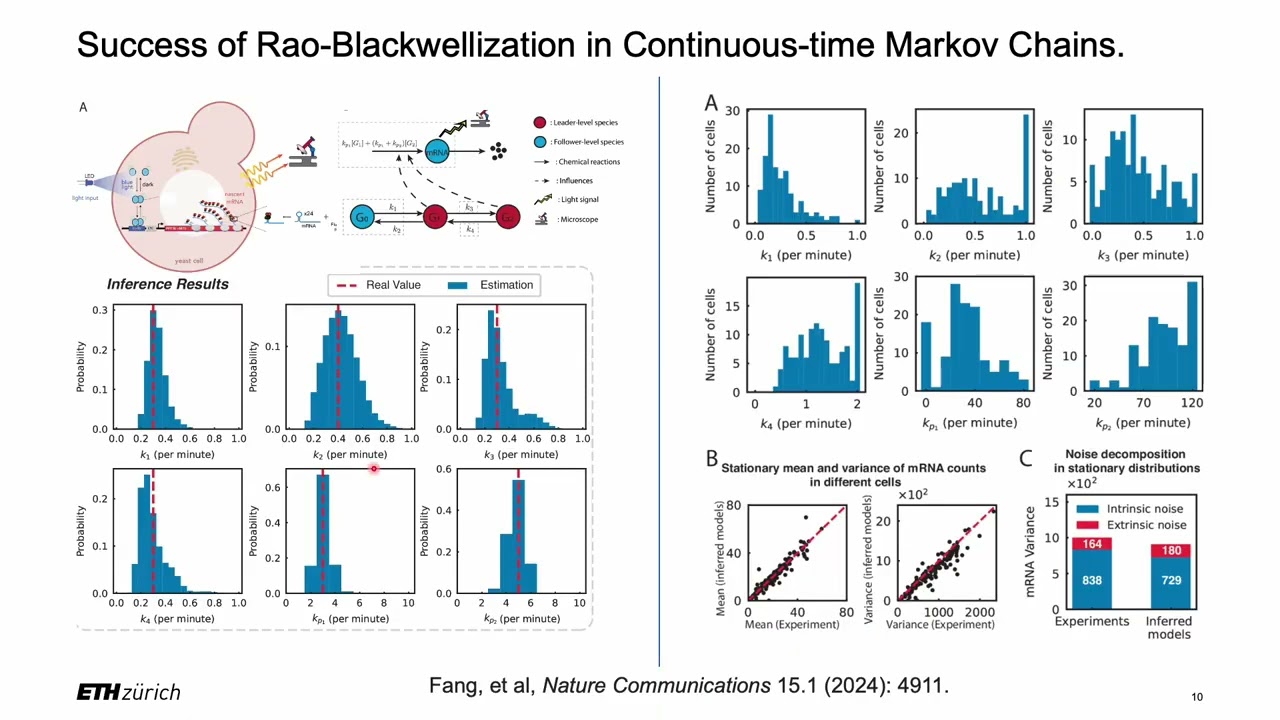 Joint parameter-state estimation via Rao-Blackwellization (Fang, Gupta, Khammash; CDC 2024)