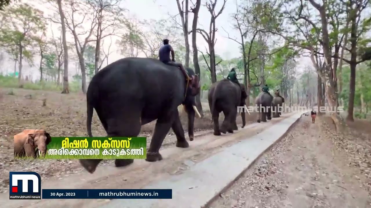 സസ്പെൻസിനും നീണ്ട വെല്ലുവിളികൾക്കും ഒടുവിൽ സക്സസായി അരിക്കൊമ്പൻ മിഷൻ | Mission Arikkomban