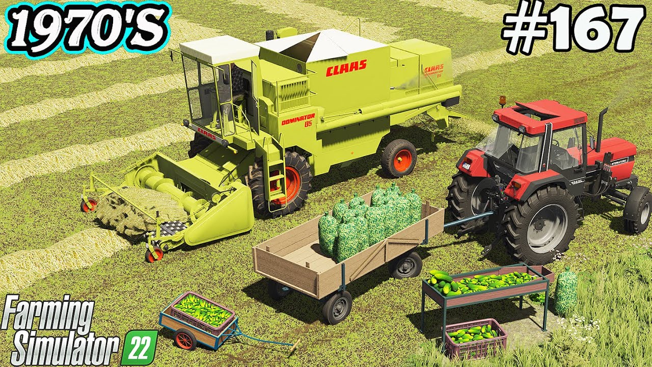 1970-е. Сбор семенной травы с полосы. Кампания по выращиванию огурцов. Farming Simulator 22. FS 2...