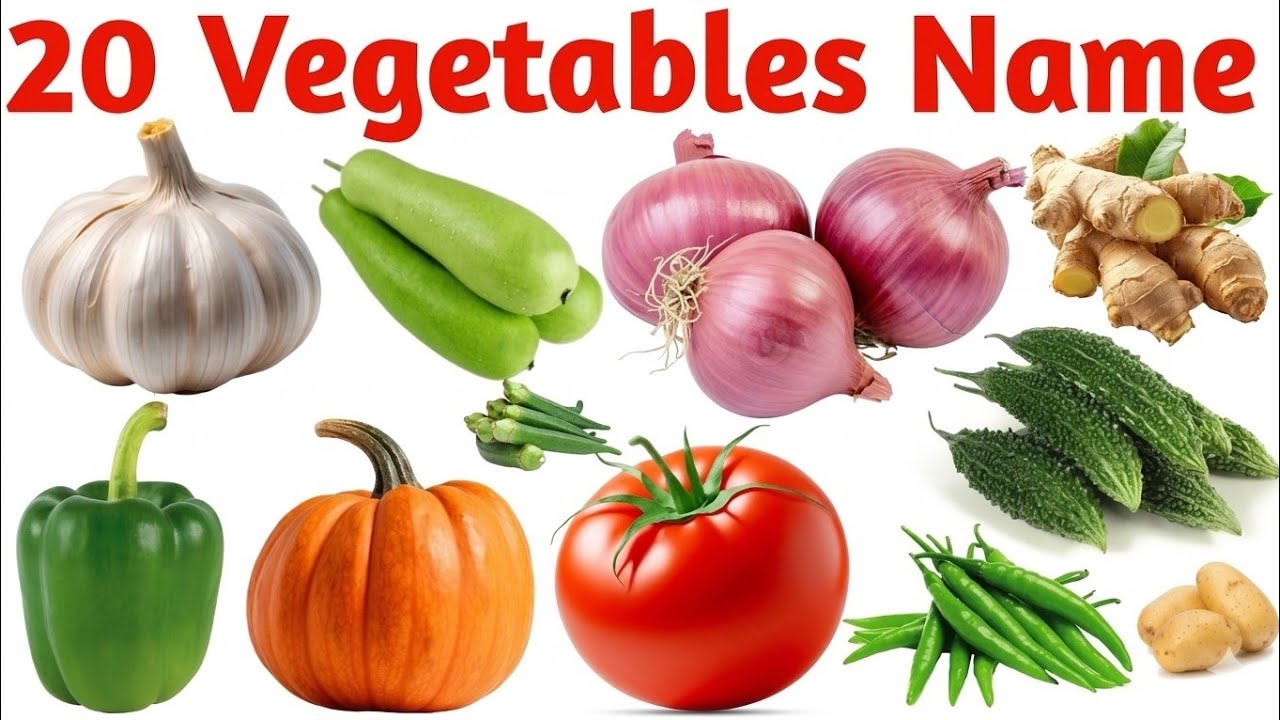 20 Vegetables Names in English and Hindi | Learn Vegetables for Kids | Preschool Educational Video 