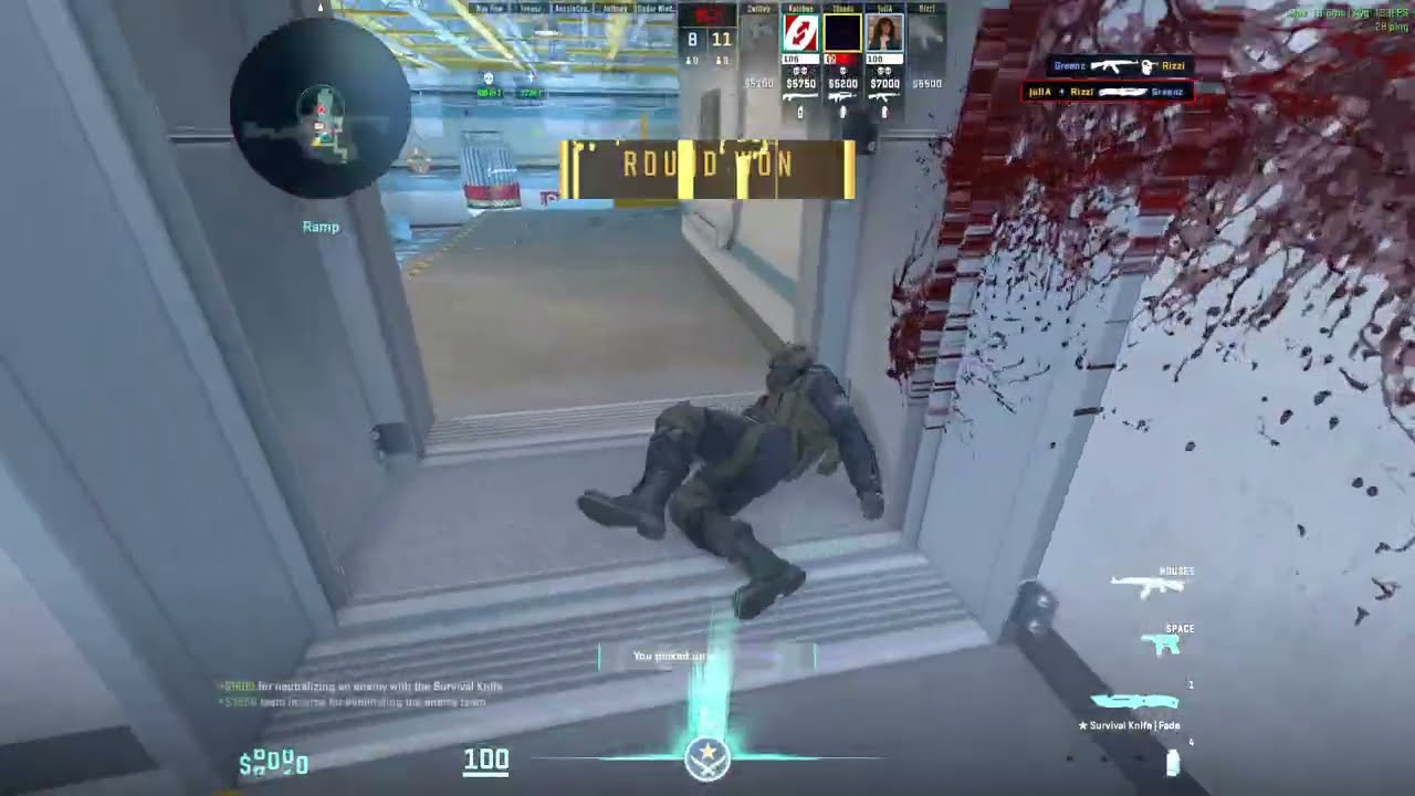 usual silly cs clips 1