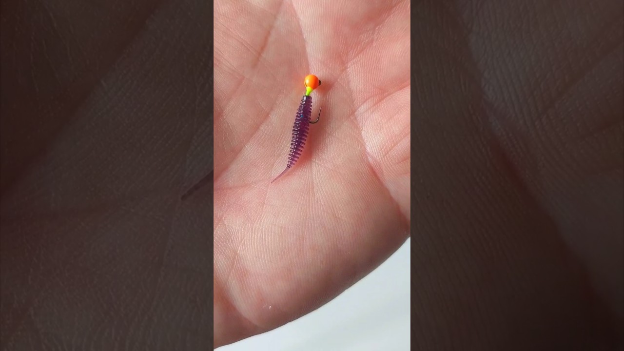 TA MIKRO GŁ&Oacute;WKA JEST ZAB&Oacute;JCZA NA BIAŁORYB!