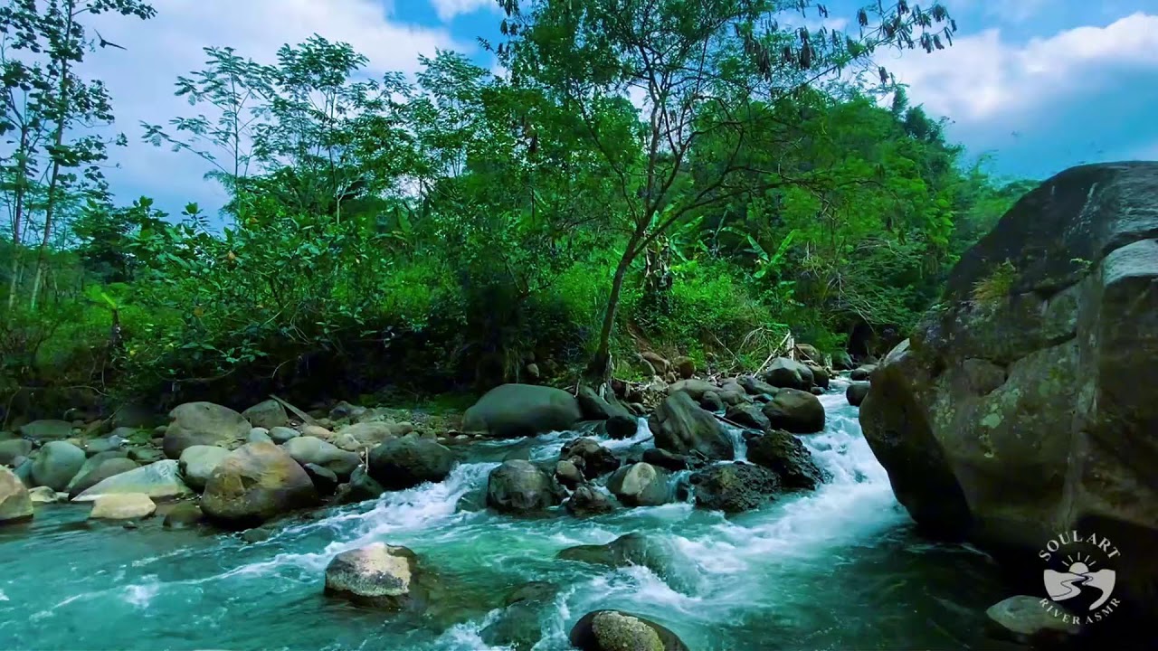 River Sounds for Sleeping Meditation | Gentle Flowing Water Nature Sounds