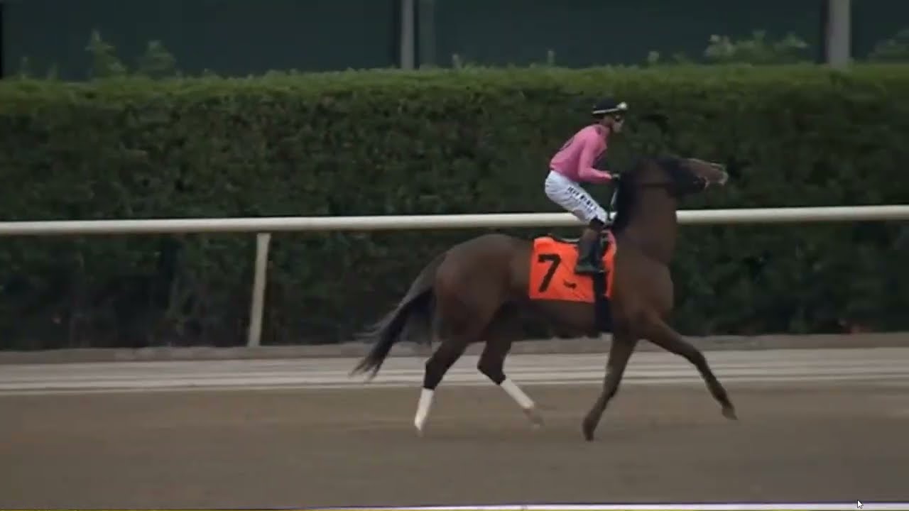R1-GULFSTREAM PARK -USA- 05 FEB 2026