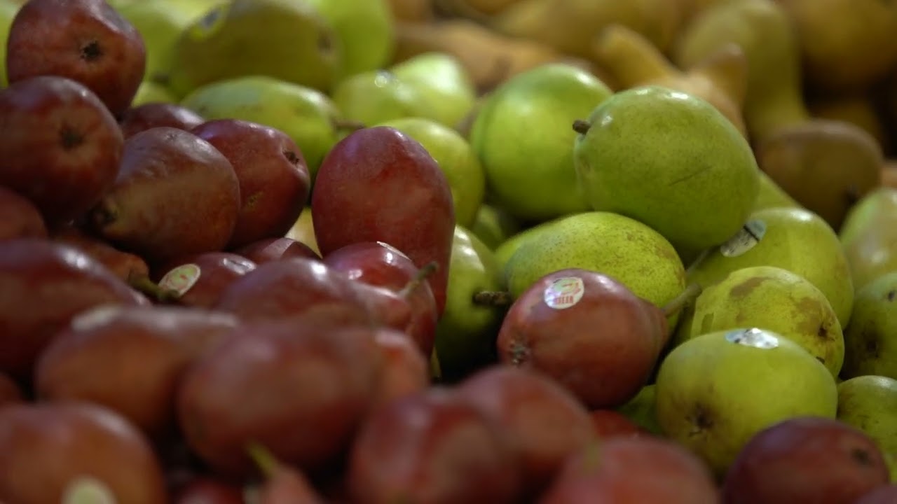 BriarPatch Vignettes: Lars Ortegren