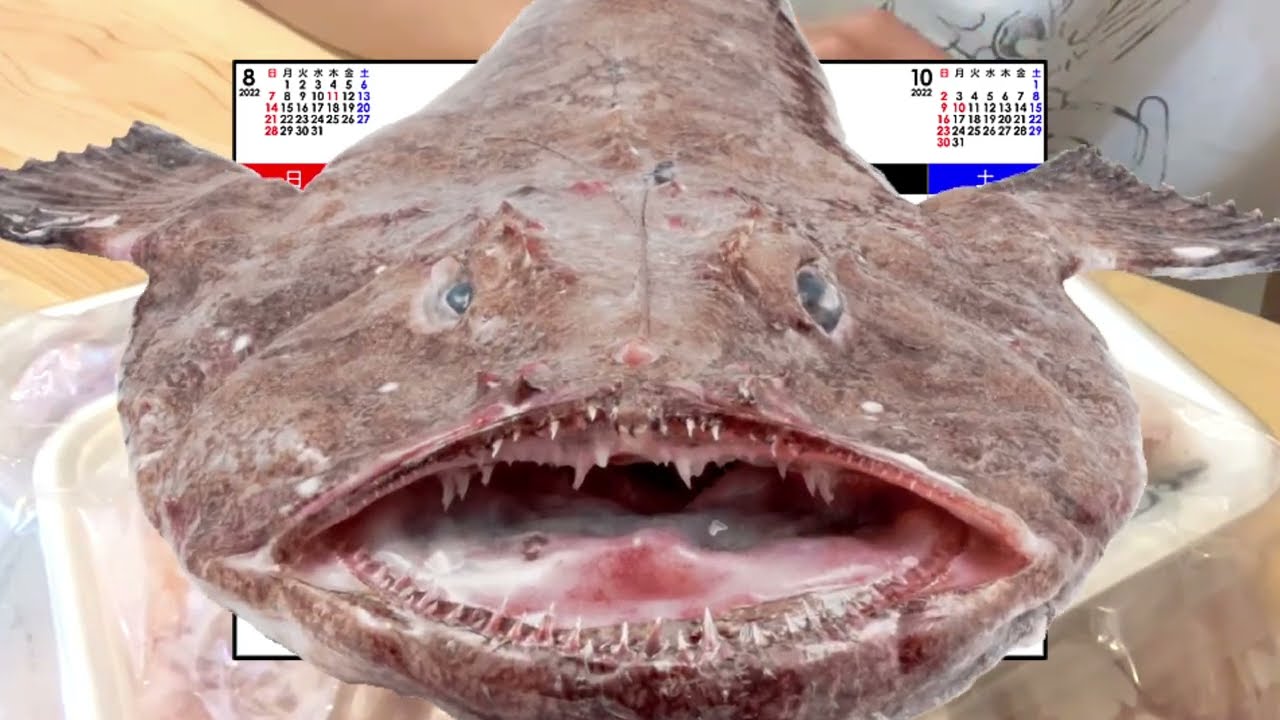 釣りスピリッツで釣った魚を現実世界で食わなきゃいけない縛り　実食編