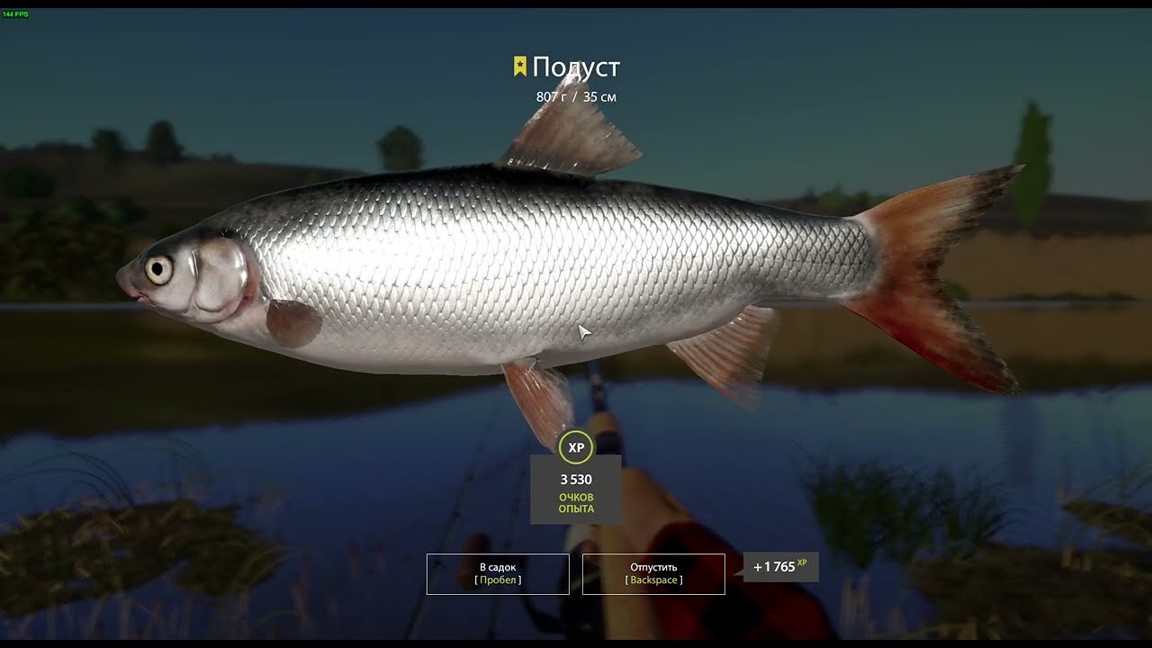 р. Сура. Подуст.