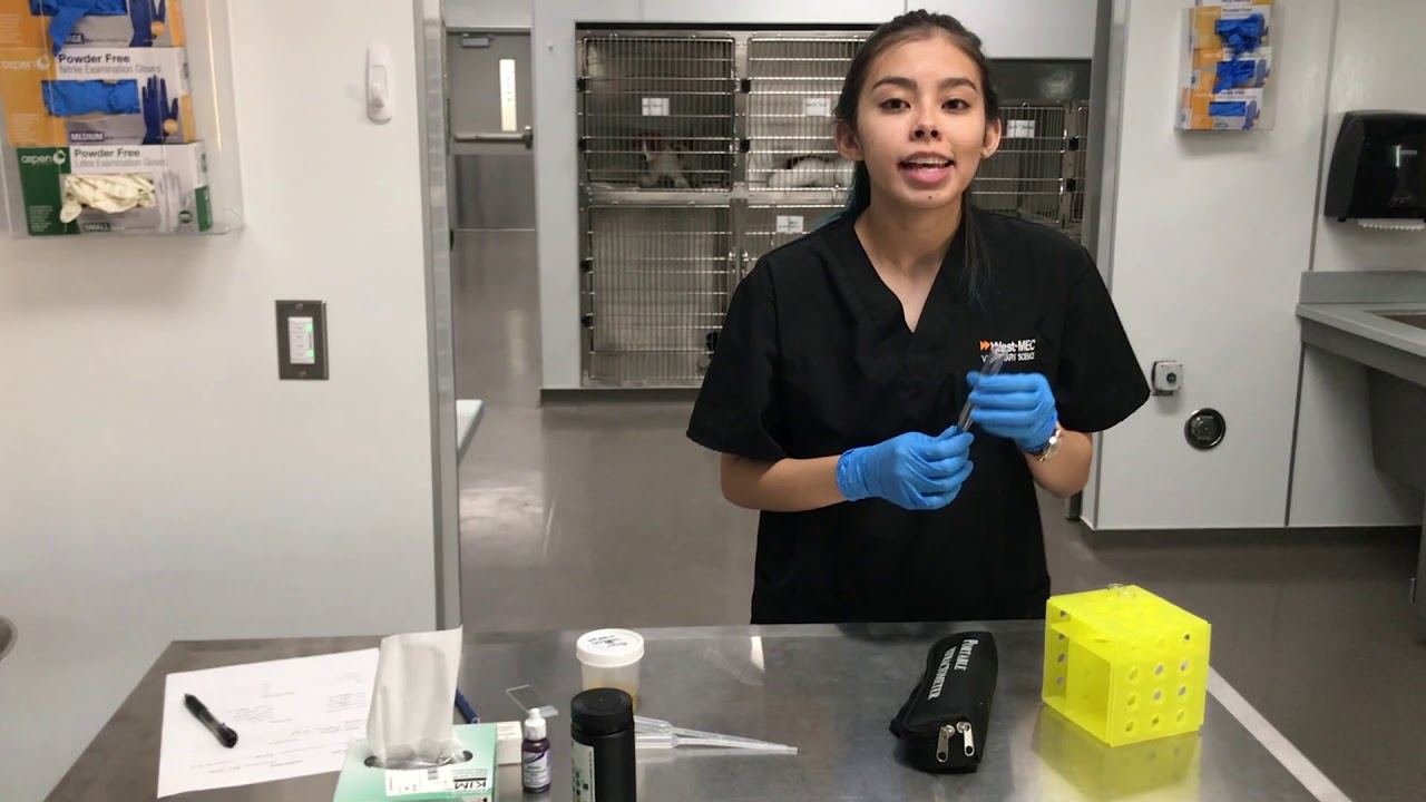 Clinical Specialty - Urinalysis in Veterinary Science