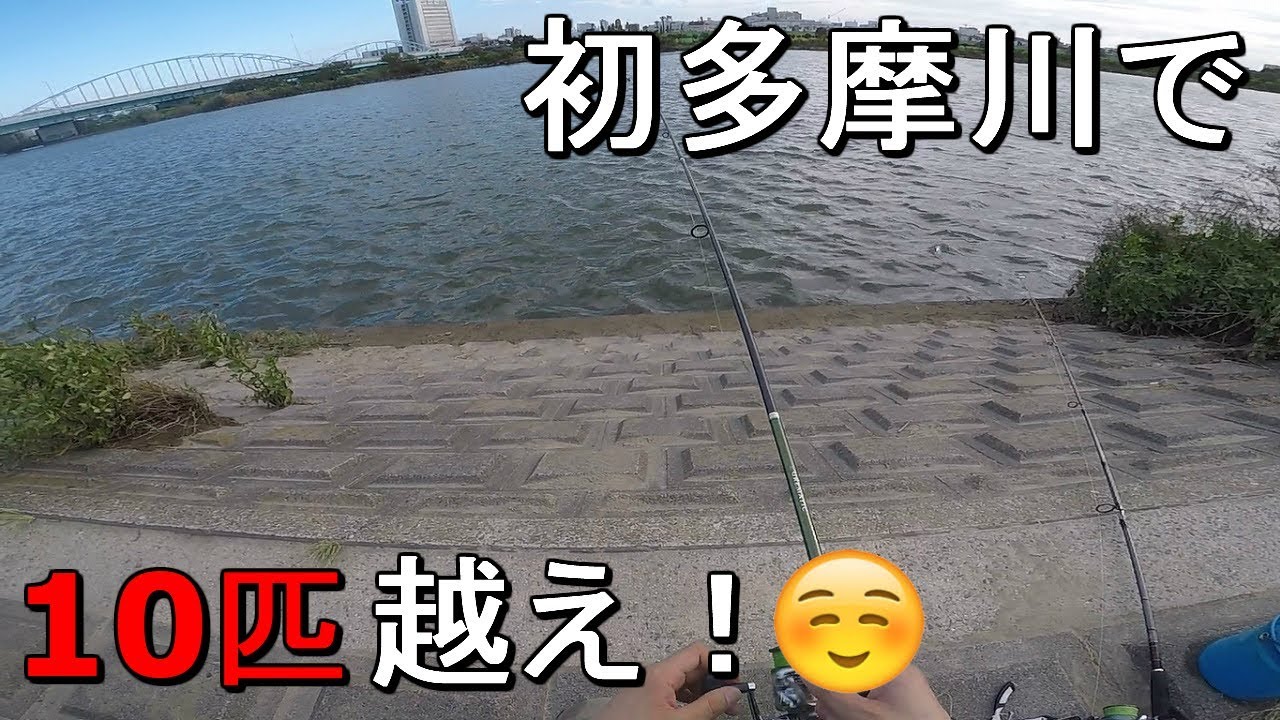 【多摩川大橋】東京都と神奈川県の境目を流れる一級河川でぶっこみ釣りをしてみたら…【2019.09.23】