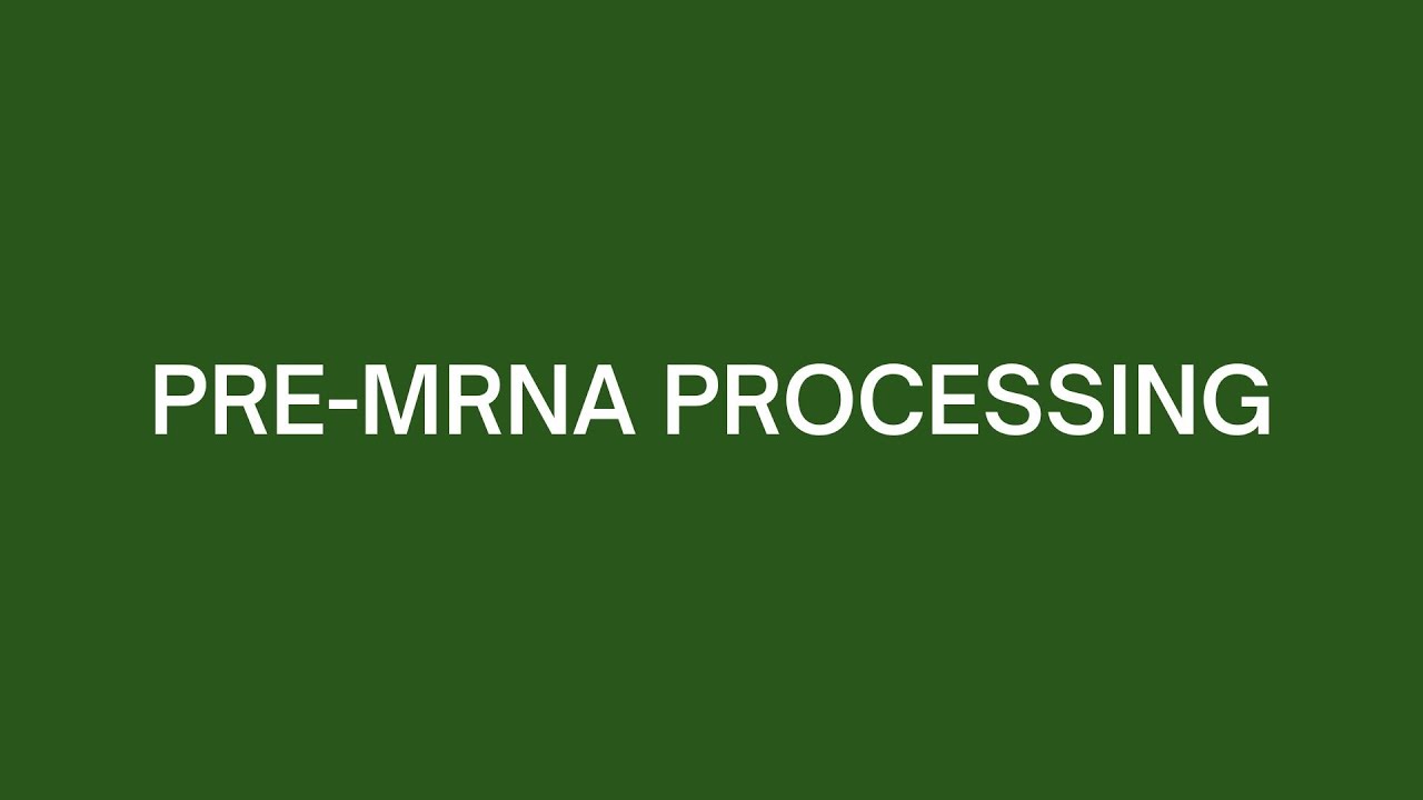 Pre-mRNA Processing