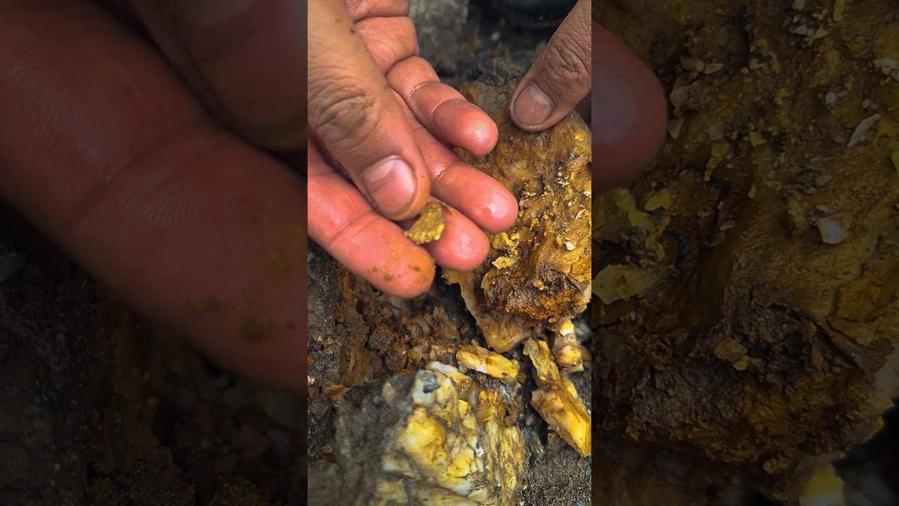 Found a white stone with a gold nugget in it.