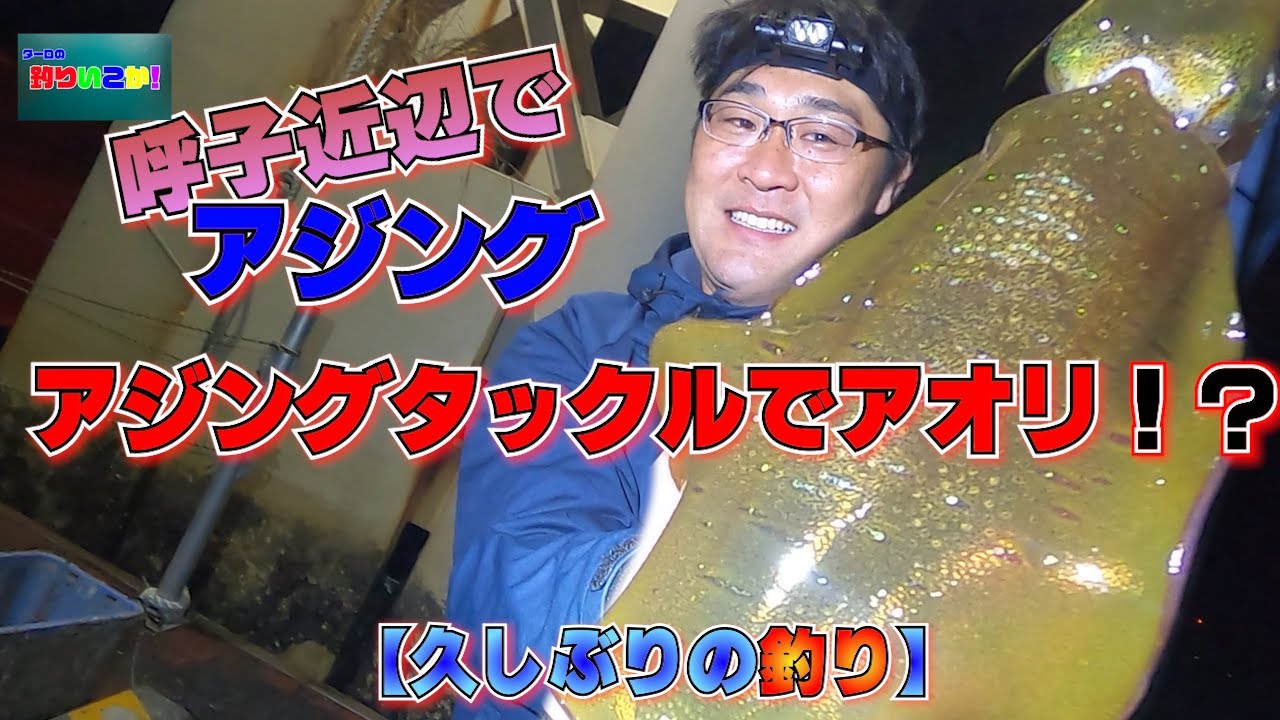 12月呼子でアジングランガン！見えイカいたからアジングタックルでエギングも！？