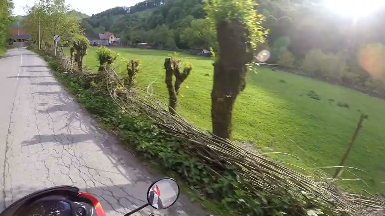 Pianu De Jos - Strungari