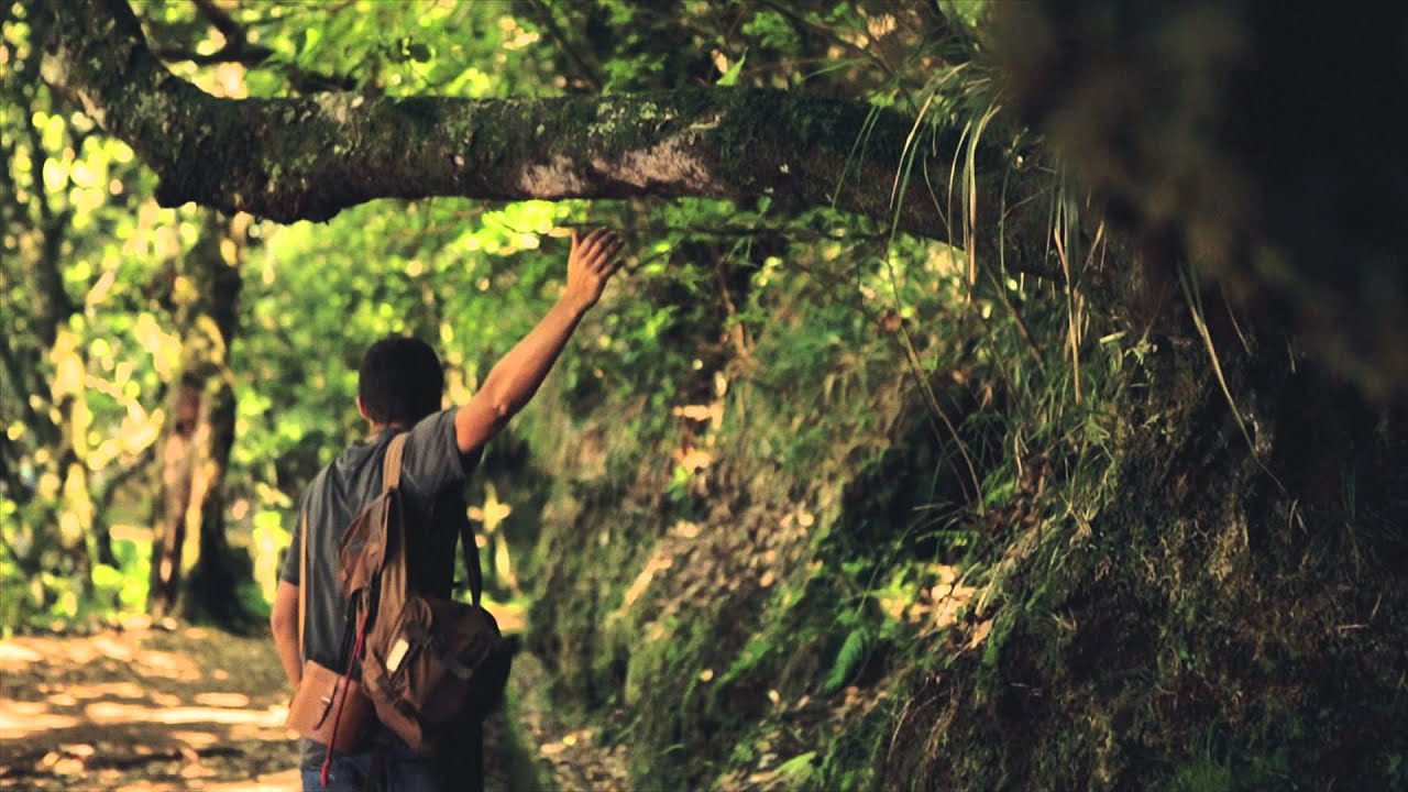 Escolha Portugal - Madeira / Choose Portugal - Madeira (TVI)