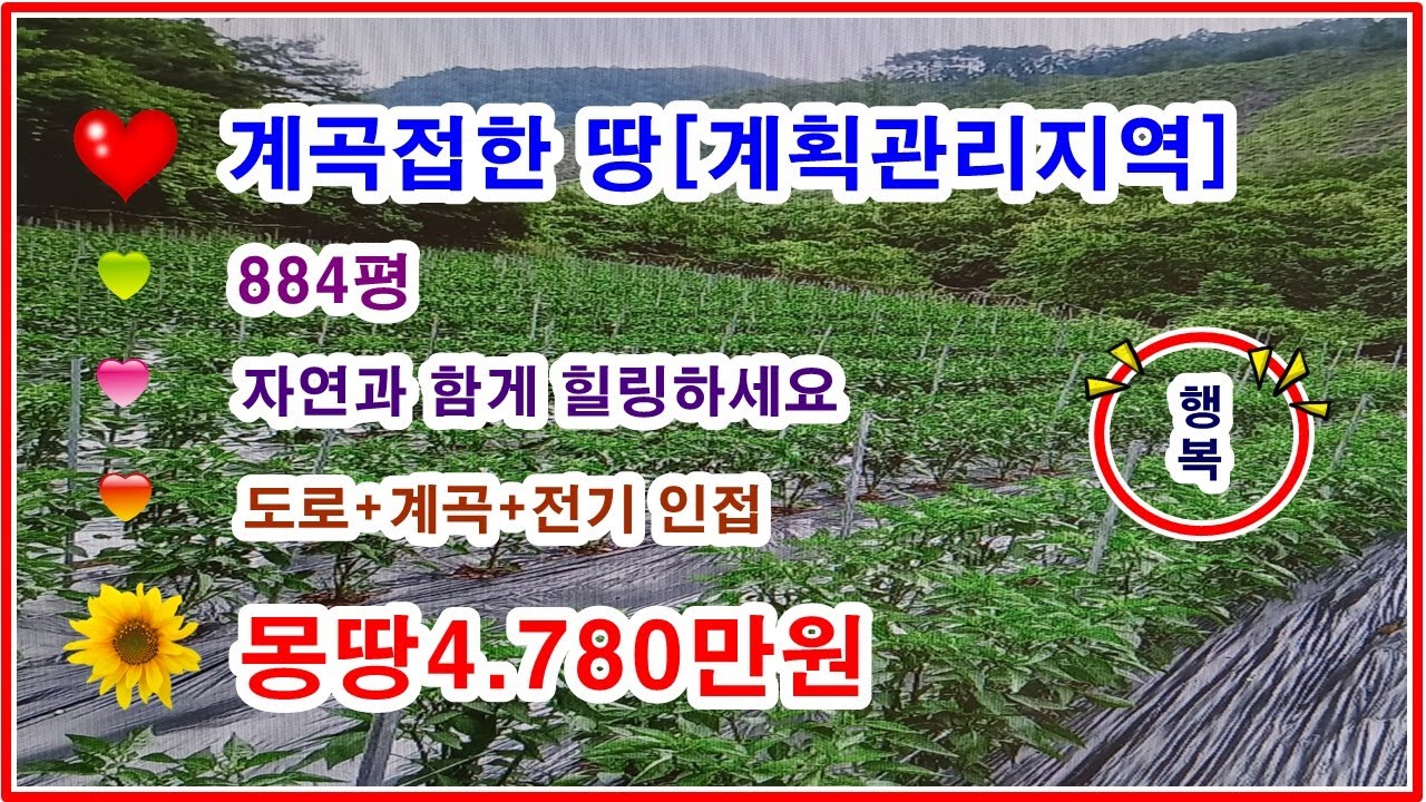 [급매] 물건번호 2091 시세의 40% 수준으로 급매합니다  몇년전 1억8천만원 들어간 땅 1523평 개인적인 급한 사정으로 급매합니다 손해 겁나보고