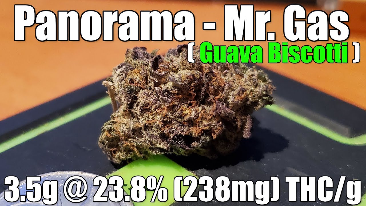 Panorama - Mr. Gas - Unboxing Review - 3.5g @ 23.8% (238mg) THC/g (+Extreme Closeups)