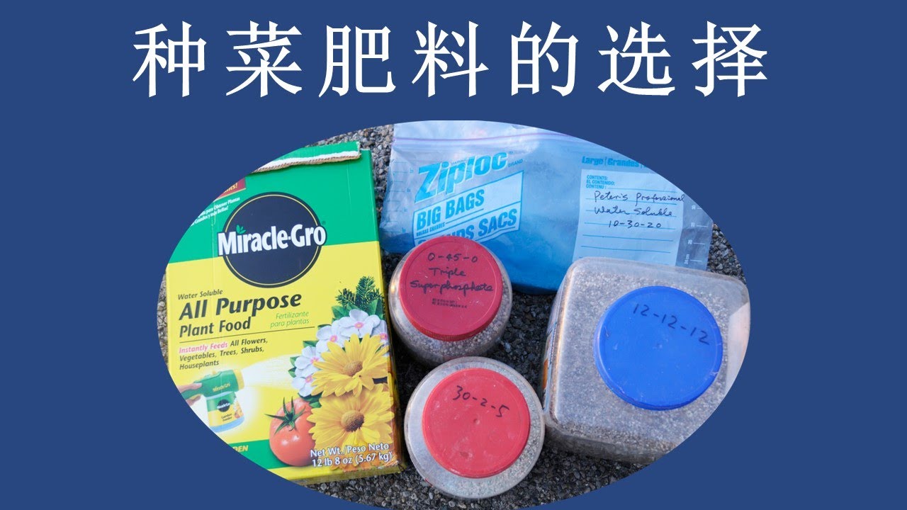 庭院种菜，需要哪些肥料？