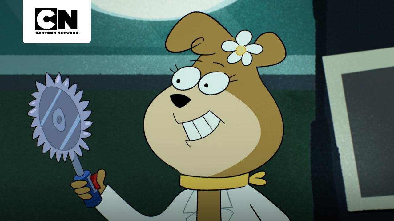 GATO POR SORPRESA | JELLYSTONE! | CARTOON NETWORK