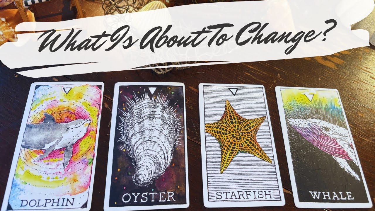 the next big change in your life 🧜&zwj;♀️ pick a card reading