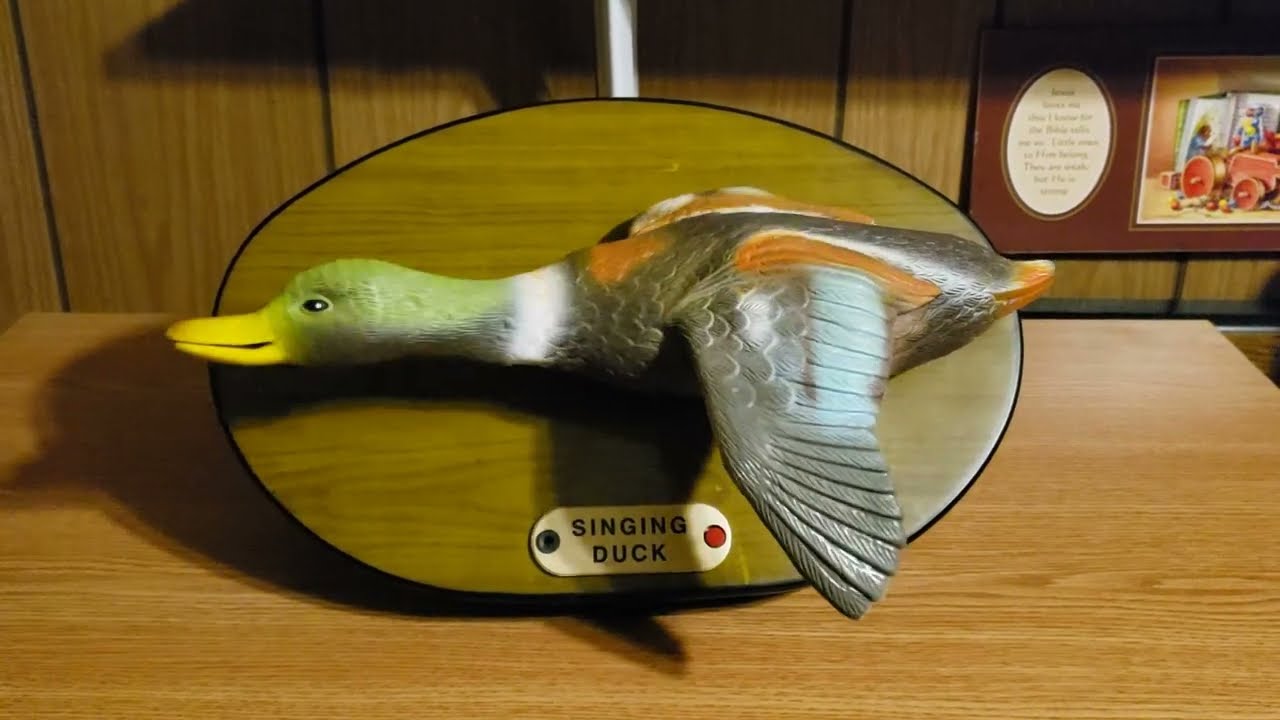 Flying Singing Duck “Born to be Wild” “Please Release Me”