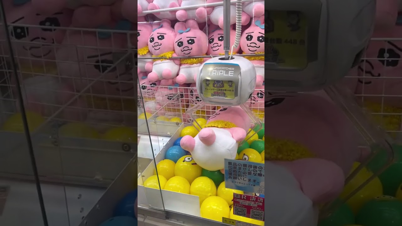 とってきや！おぱんちゅうさぎ取れるかな！？