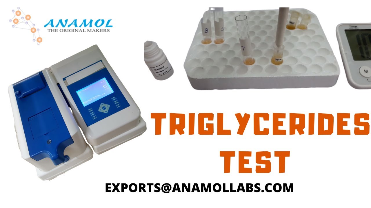 TRIGLYCERIDES Procedure Video/ Procedure Of Triglycerides Test-In English