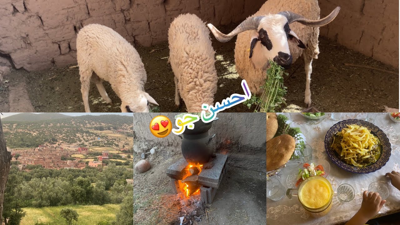 أجواء البادية/ مكاينش ماحسن من البساطة والطبيعة/ احسن حاجة تقدر تاكلها فالبادية
