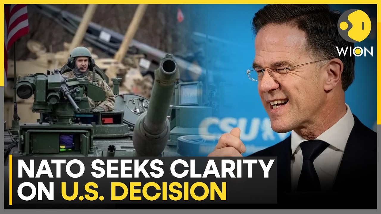 NATO Seeks Clarity On US Decision, Allies Concerned | WION News