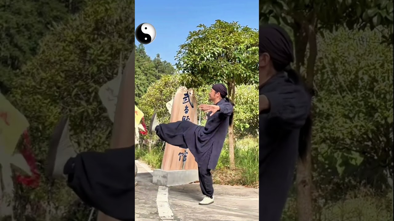 ☯️ Forma Shi Si Dao Youlong Gong. Gimnasio Wudang Shisi. Taichi Asoc.