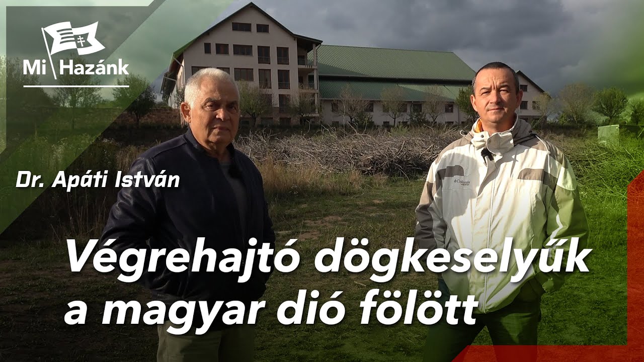 Végrehajtó dögkeselyűk a magyar dió fölött