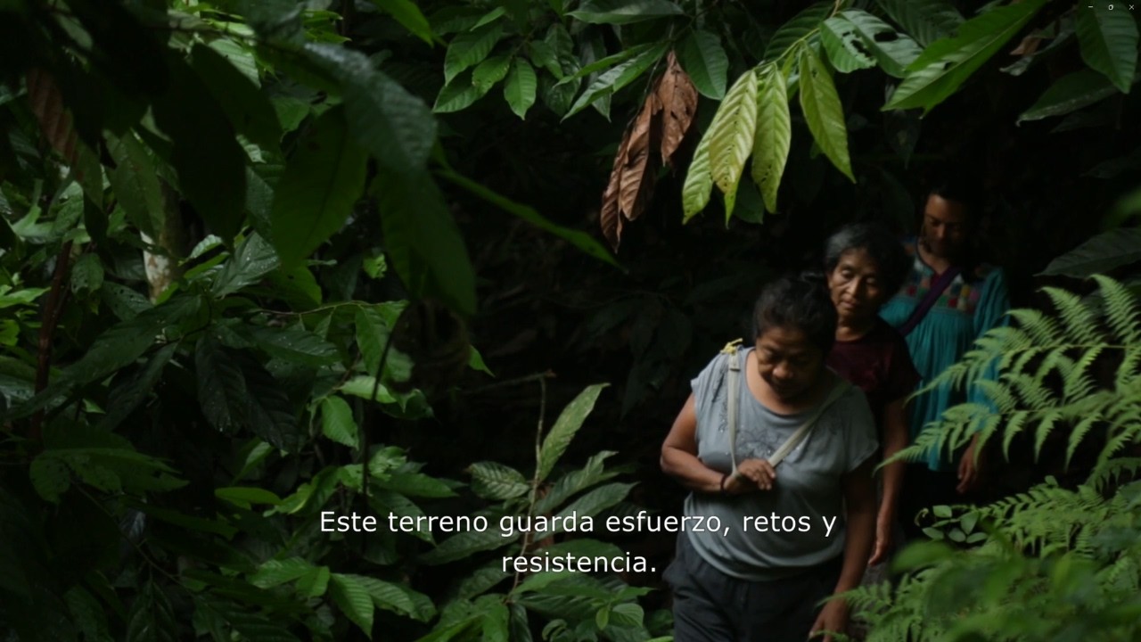Del Corazón de la Selva a tu Mesa: El Camino de Nuestros Sabores🌿