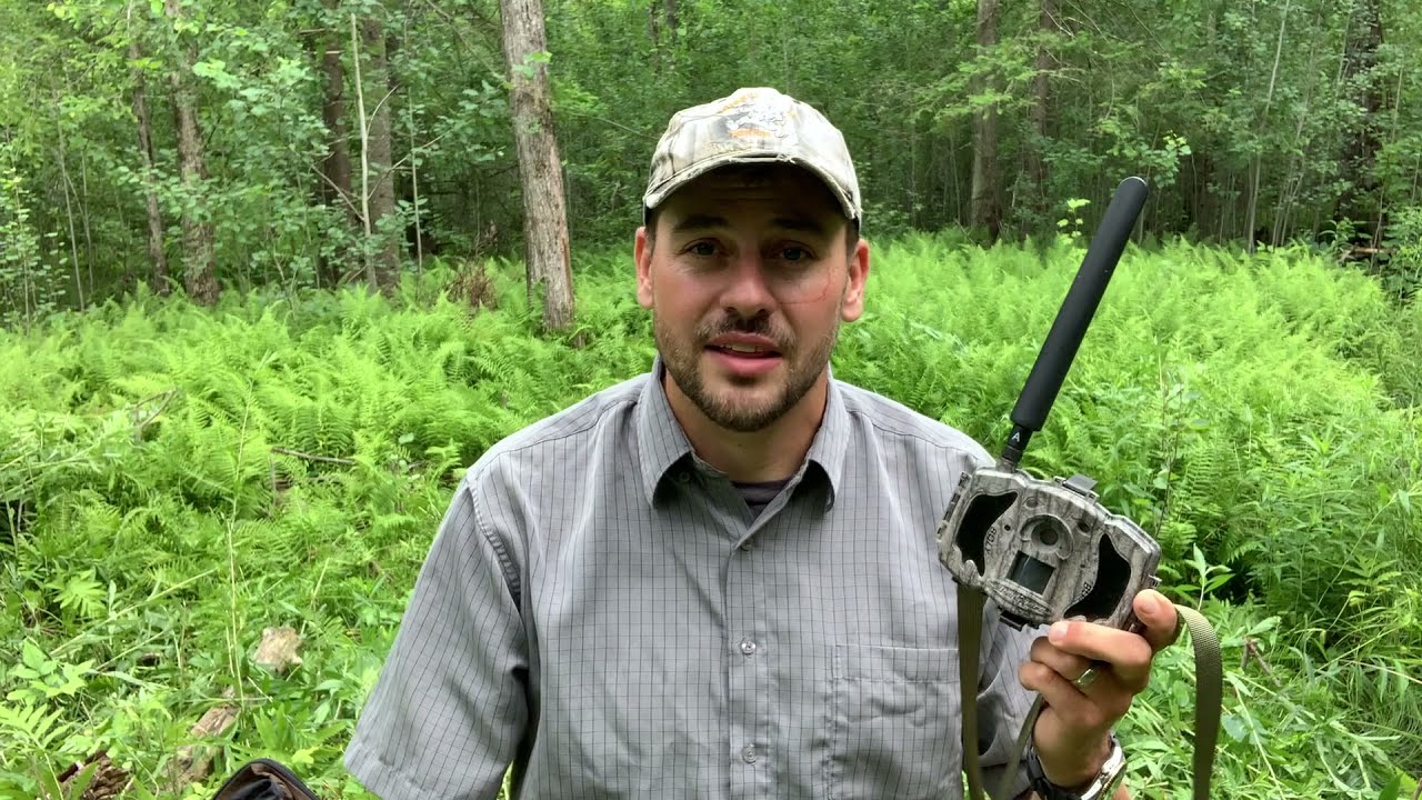 Boly MG984G-36M Trail Cam Review