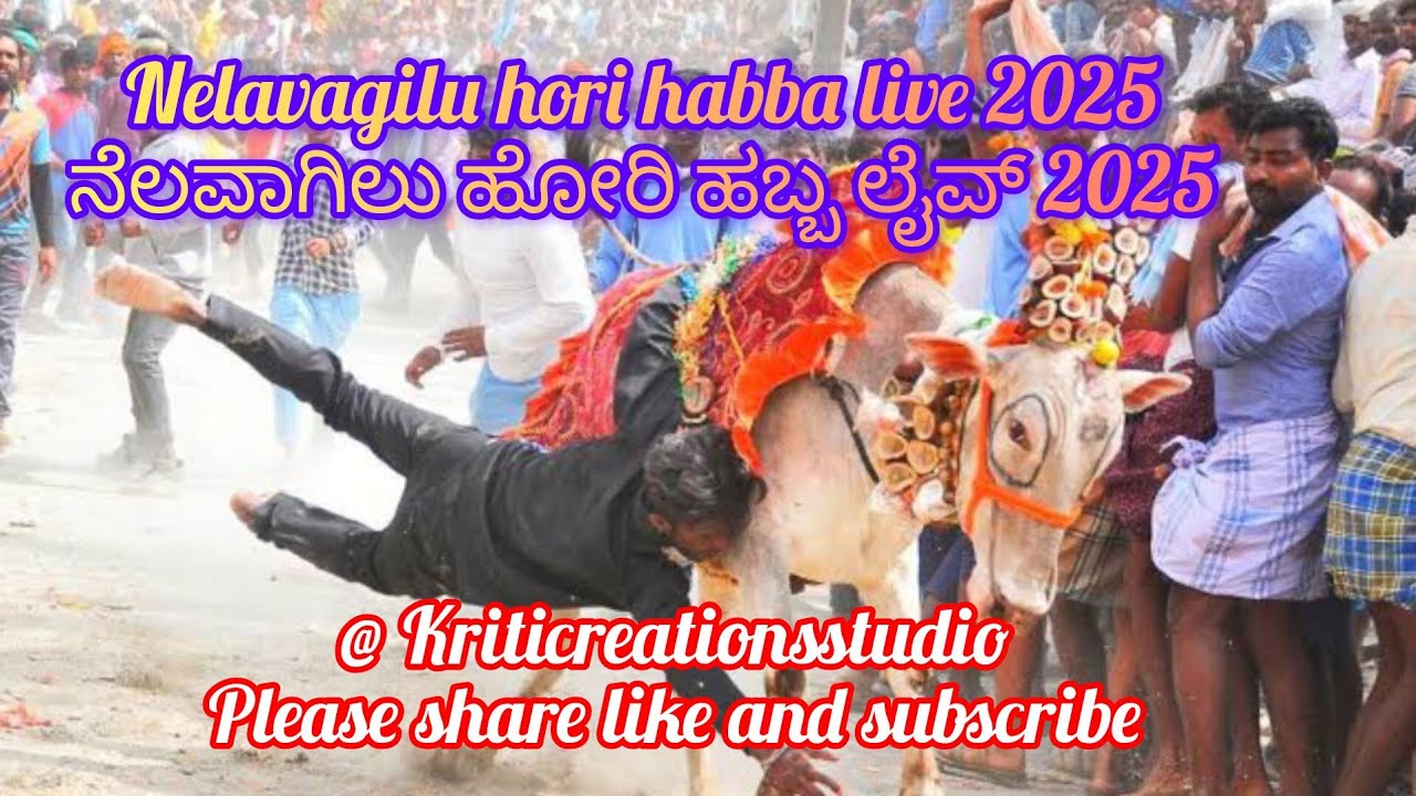 Nelavagilu Hori Habba Live 🐂🔥| Nelavagilu Hori Habba Live 🔴 2025 | Nelavagilu Hori Habba today 2025