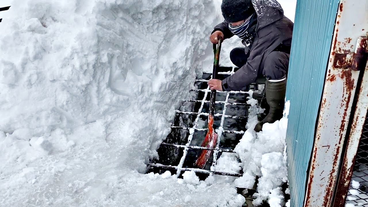 流雪溝に除雪する動画