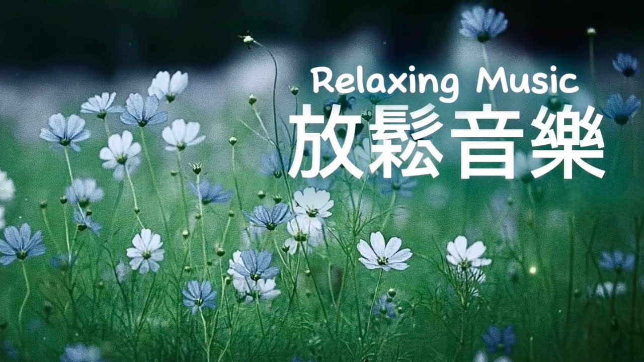 放鬆音樂Relaxing Music | 野花在光中盛放，在風中搖曳生姿，優雅旋律如淡淡清香，沁人心脾，放鬆溫柔的輕音樂｜#輕音樂 #早晨音樂 #放鬆 #冥想 #睡眠 #softmusic 