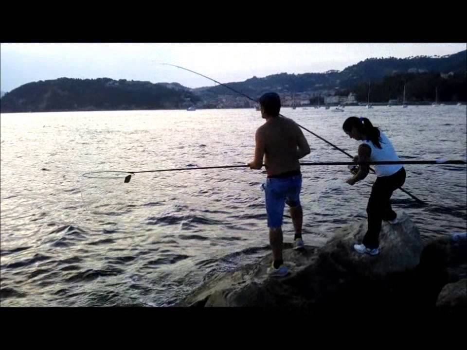 leccia amia 23 kg
