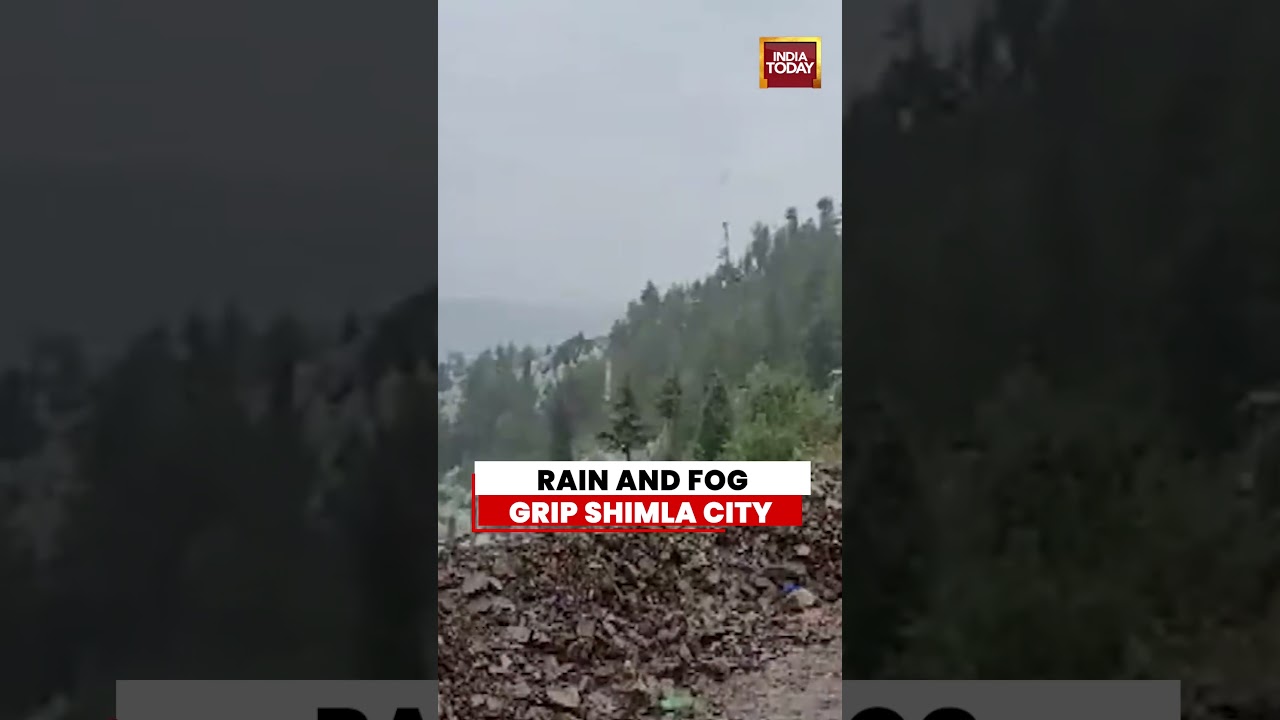 Shimla Weather Update: Rain Lashes City, Dense Fog Engulfs Hills | Himachal Pradesh News
