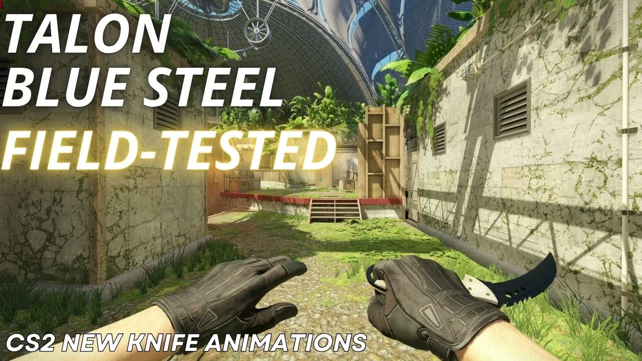 Talon Knife Blue Steel (Field-Tested) | CS2 Skin Showcase with NEW Animation