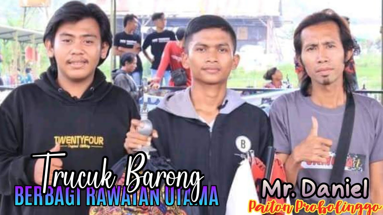 Berbagi rawatan Trucuk Barong Pemilik Mr. Daniel Paiton Probolinggo || BGM Channel